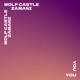 You feat Zamani Folade Single
