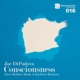 Consciousness Incl Matthew Bandy Jojoflores Rmxs