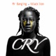 Cry feat IBlack Lion Single