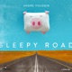 Sleepy Road Single