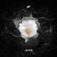 AVĪCI 01 EP