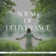 Sound of Deliverance feat Idowu Princewell PBK S G D M Choir Remixed Version DJ Mix