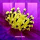 The Dream That Never Ends EP