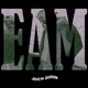 EAM feat Mayaru Single