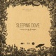 Morning Breeze Single