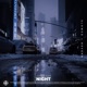 NIGHT Slowed Reverb Single