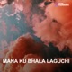 Mana Ku Bhala Laguchi Single