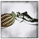 My Shoes feat JRoberts Single