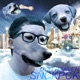 Dog Heaven