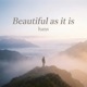 Beautiful as It Is Single