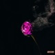 Give Go EP