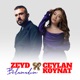 Bulamadım Single