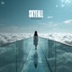 skyfall Single