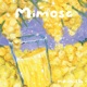 Mimosa Single