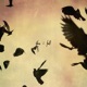 Then I Fall feat Coop Single