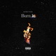 BURN IT feat glorpalorp renstricted Ghost Winter Lee Single