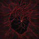 Corazón de fragmentos feat GNoiz Single