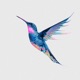 Hummingbird feat Katrina Anastasia Single