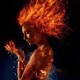The Fire Single