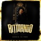 Ritmando Single