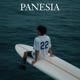 PANESIA speed up Single