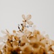 Fragile Single
