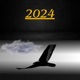 2024 Single