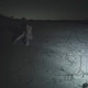 dawn Single
