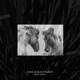 Wild Horse Single