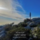 Right Now Nico Pusch Remix Single