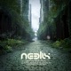 Angels of Destruction Neelix Whatz Up Remix Single