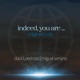 Indeed you are feat Miguel Serrano Single
