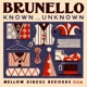 Known Unknown Single