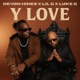 Y Love feat Lil G Luke G Single