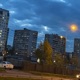 Цветочек Single