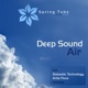 Air Single