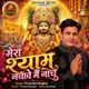 Mera Shyam Nachave Me Nachu Single