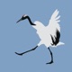 Snow Crane Single
