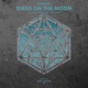 Birds on the Moon Single