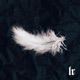Above the Angels Single