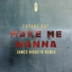 Make Me Wanna James Hiraeth Remix Single