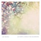 Lo How a Rose E er Blooming Single
