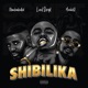 Shibilika feat Okmalumkoolkat MusiholiQ Single