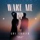 Wake Me Up Single