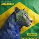 Amazonic Single