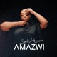 AMAZWI Single