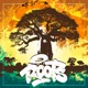 Roots Single