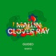 Guided Extended Mix Single