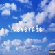 Leverage Single