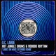 Hot Jungle Drums and Voodoo Rhythm Ladies on Mars Extended Remix Single